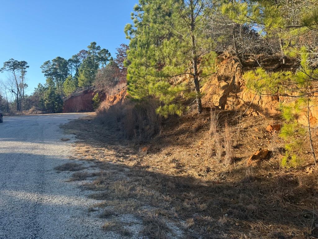 Vacant wooded lot with a rocky slope and gravel road.