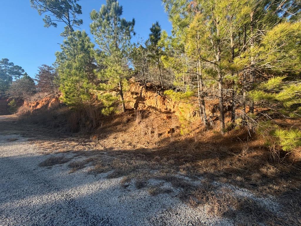 Wooded vacant lot beside a gravel road, with pine trees and exposed reddish soil.