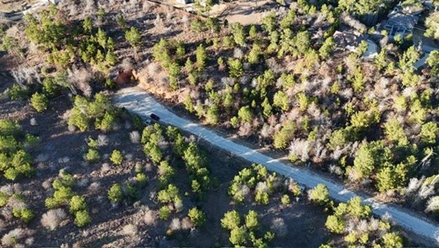 Aerial view of a wooded vacant lot with a curving access road.