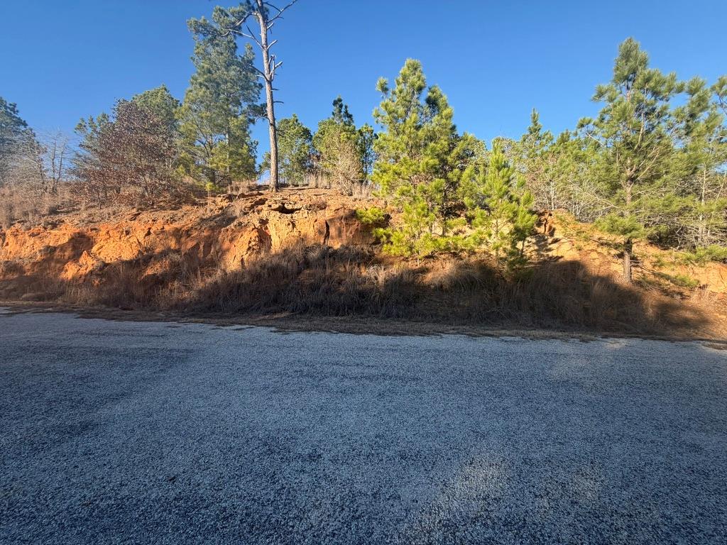 Wooded vacant lot with a rocky red-soil embankment and pine trees beside a gravel road.