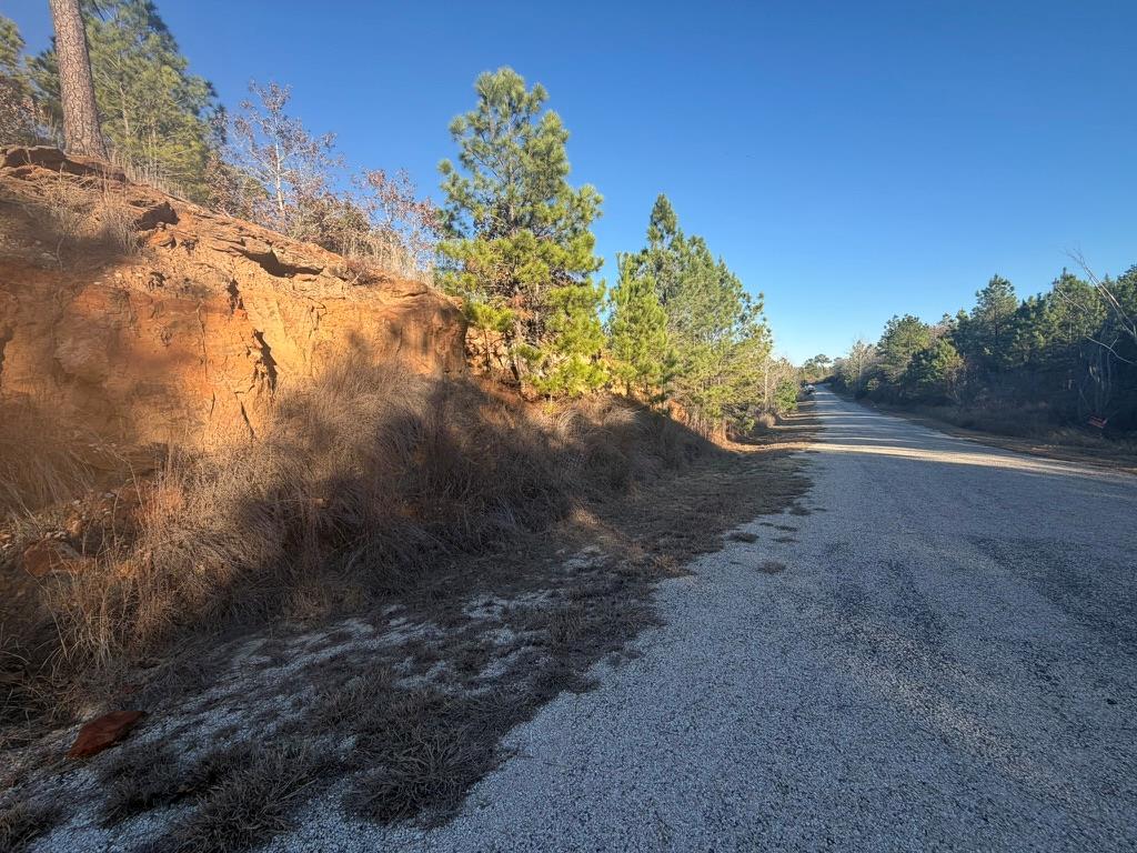 Vacant wooded lot beside a paved road, with an exposed orange rock embankment and pine trees.