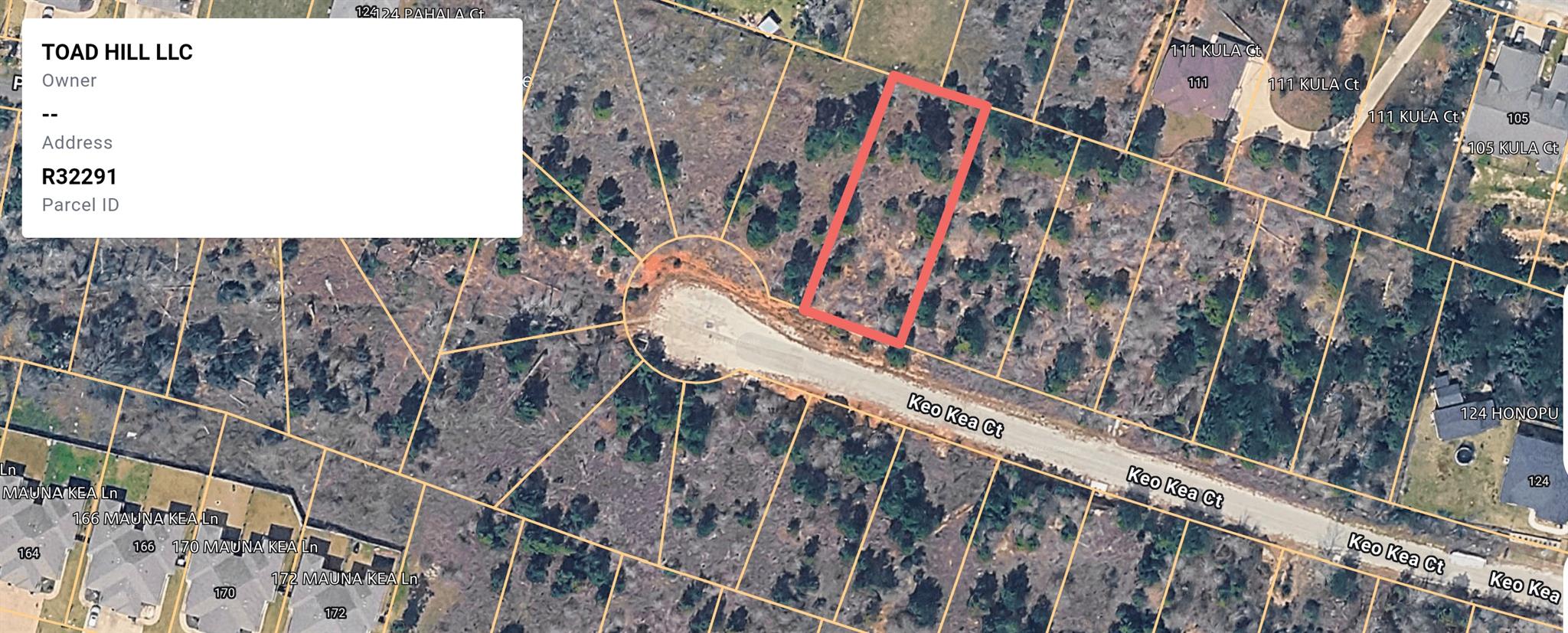 Aerial view of a wooded vacant lot outlined in red beside Keo Kea Ct.