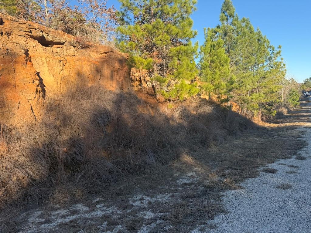 Vacant lot with a red-rock embankment, pine trees, and a gravel access road.