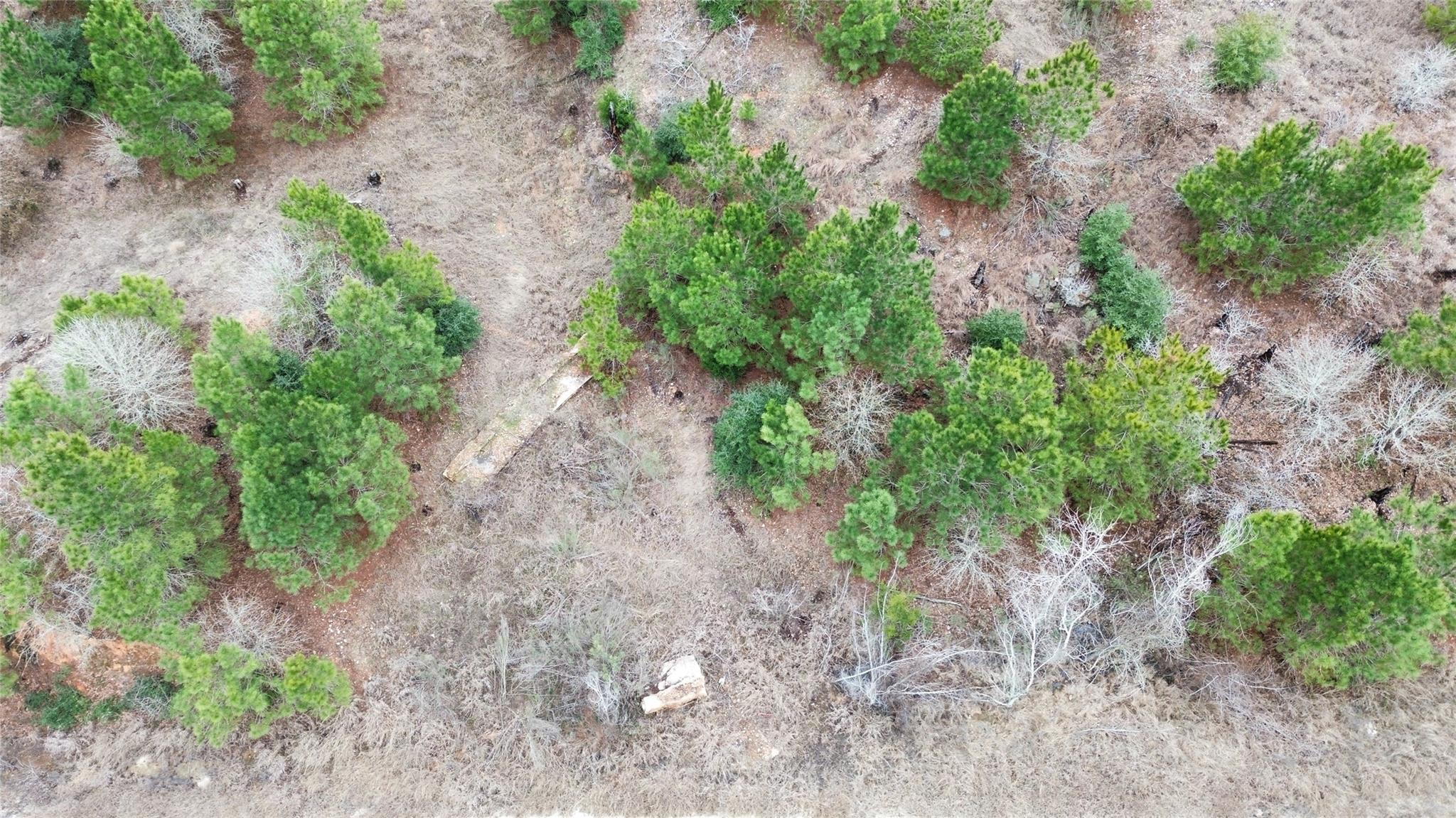 LOT 183 / R32300 Keo Kea CT