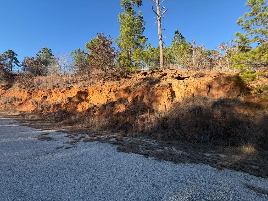 Vacant wooded lot with an exposed rocky embankment beside a paved road.