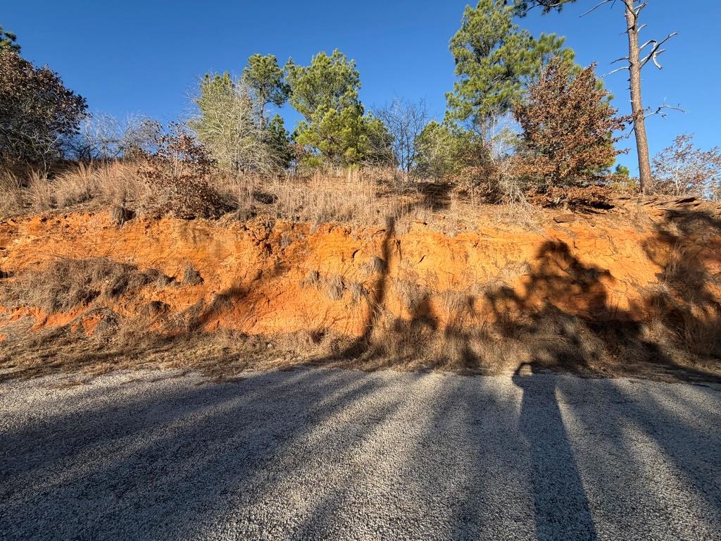 Wooded vacant lot with an exposed orange soil slope above a gravel road.