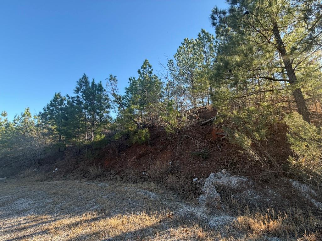 Wooded vacant lot with a sloping hillside beside a gravel road.