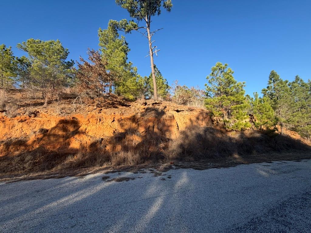 Wooded vacant lot with an exposed orange-soil embankment beside a paved road.
