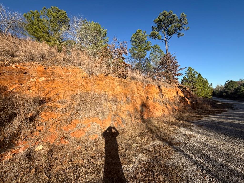 Vacant wooded lot with an exposed orange-soil embankment beside a gravel road.