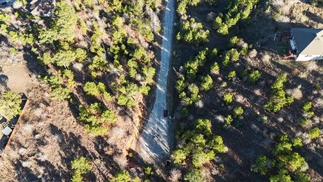 Aerial view of a wooded vacant lot beside a narrow paved road.