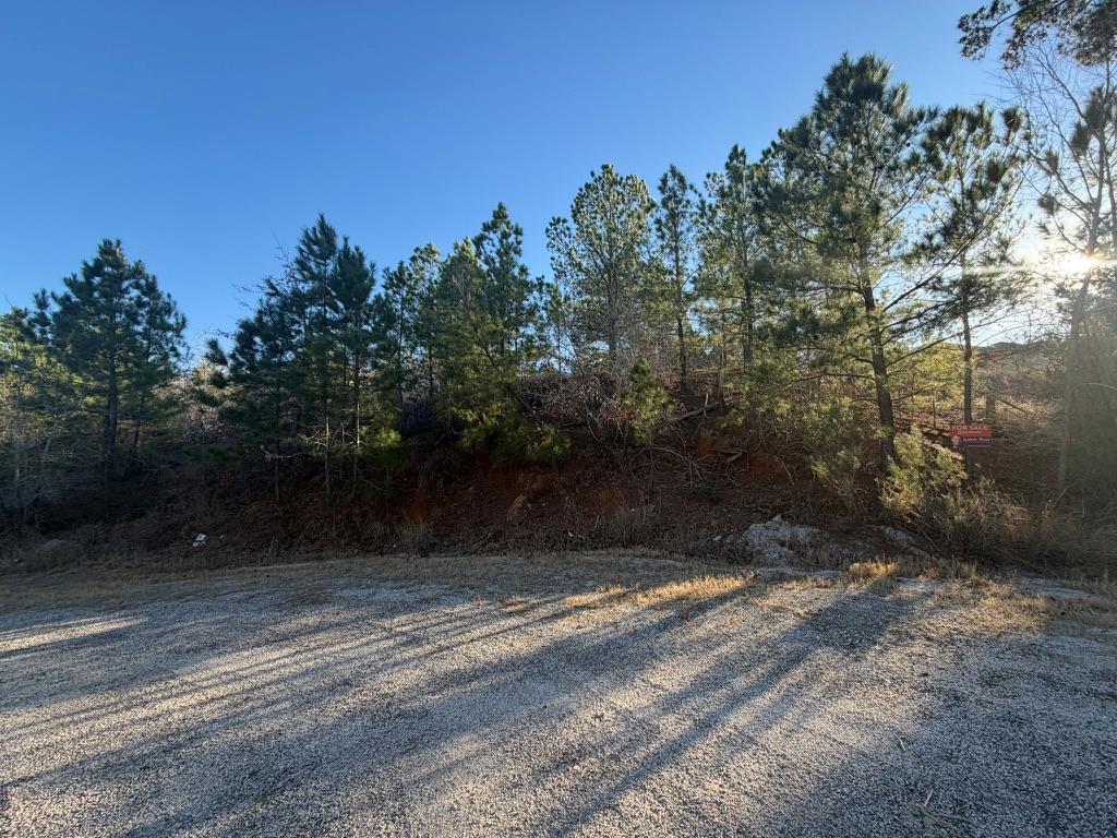 Wooded vacant lot beside a gravel road, with pine trees and a small sale sign.