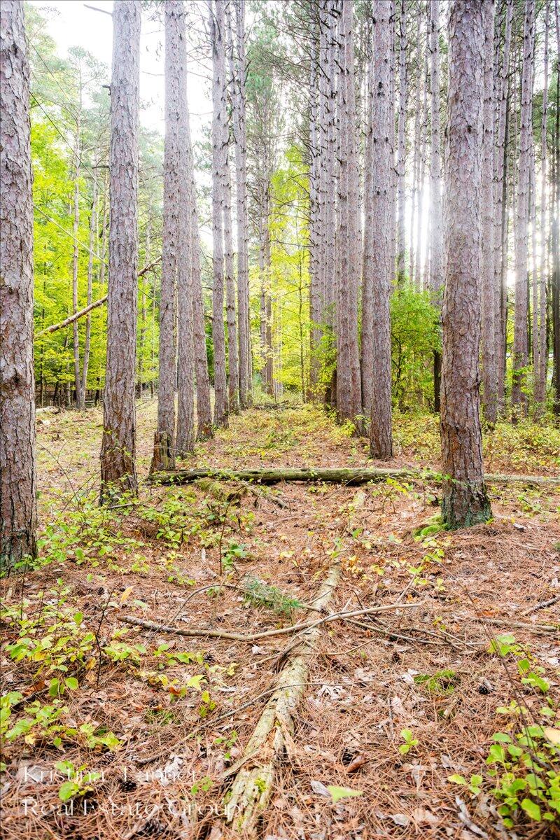 7351 Leonard Street NE