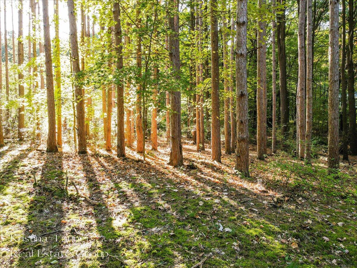 7351 Leonard Street NE