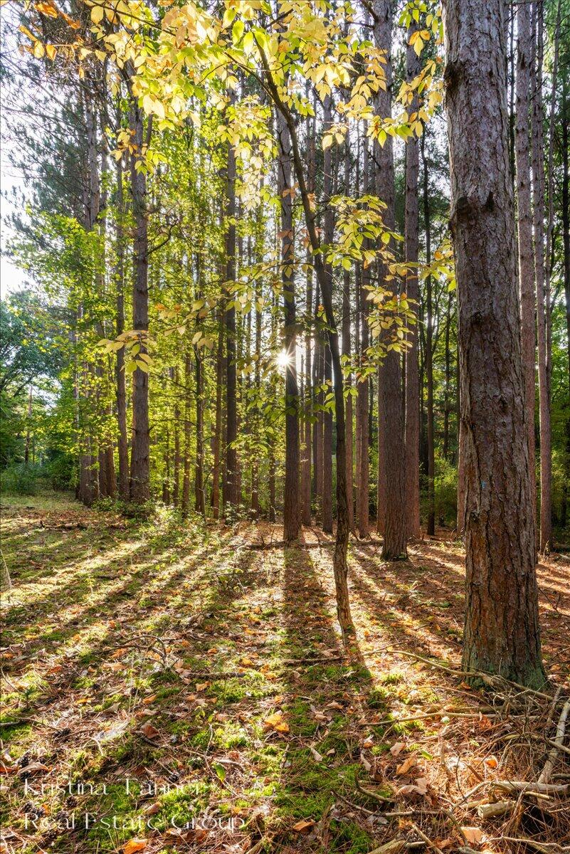 7351 Leonard Street NE