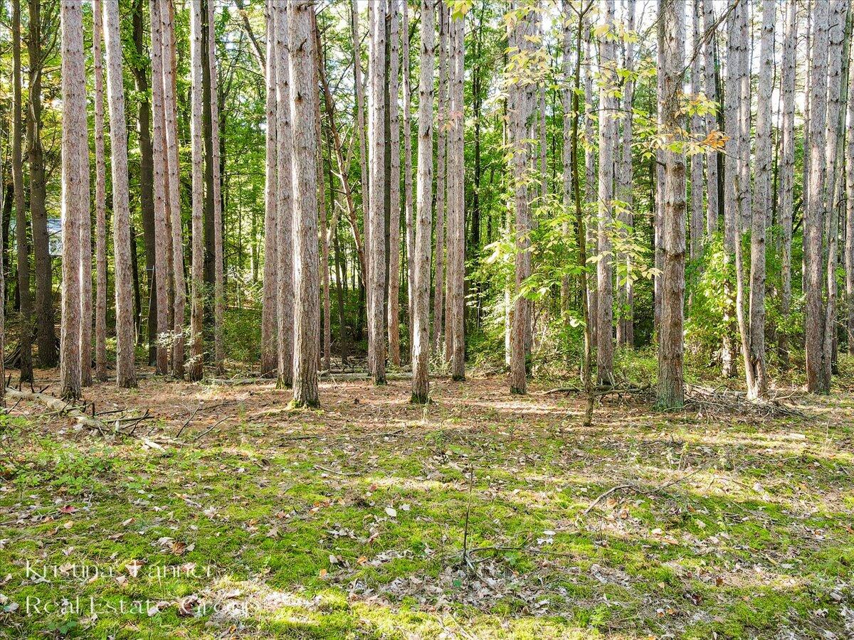 7351 Leonard Street NE