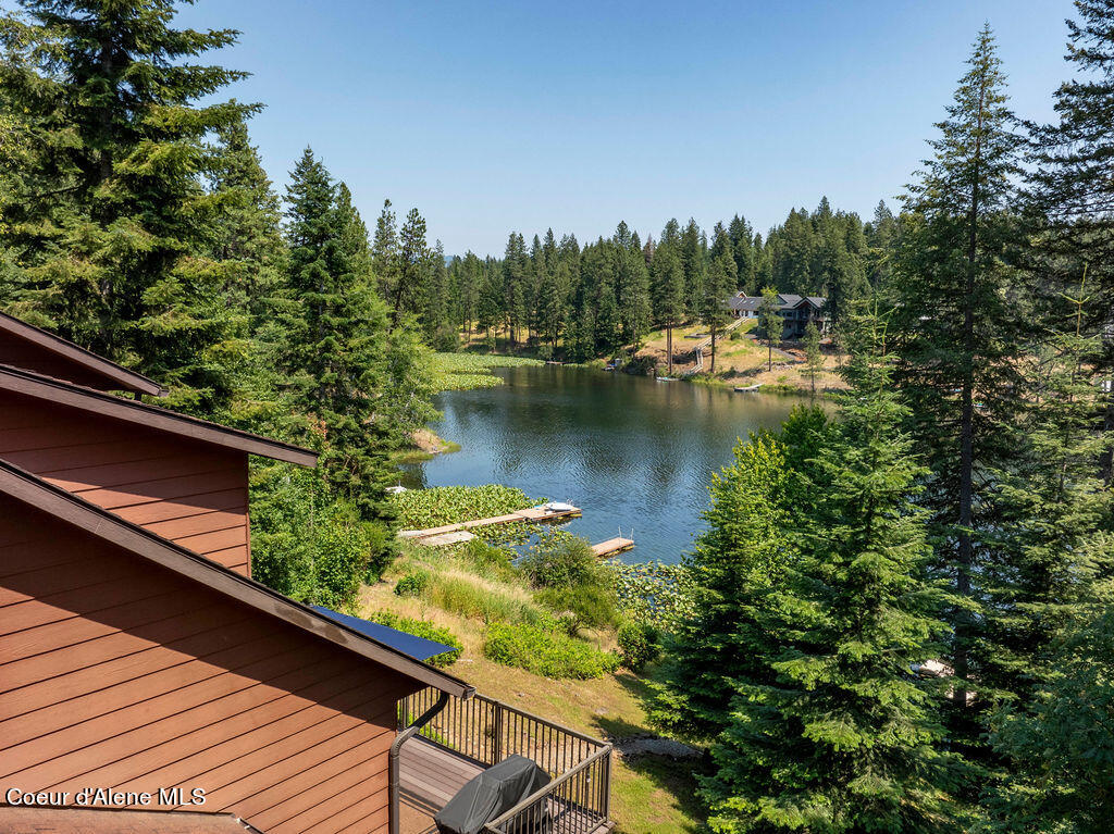 11882 N AVONDALE LOOP