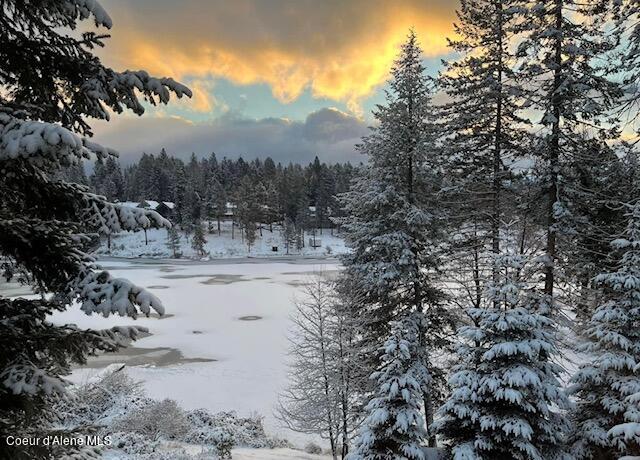 11882 N AVONDALE LOOP