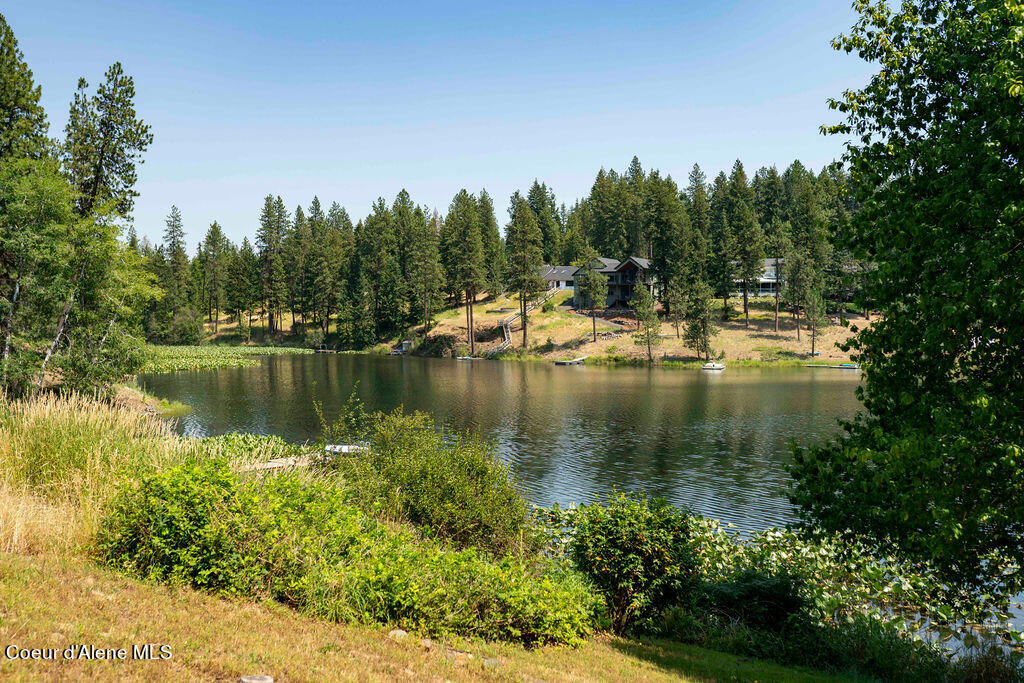 11882 N AVONDALE LOOP