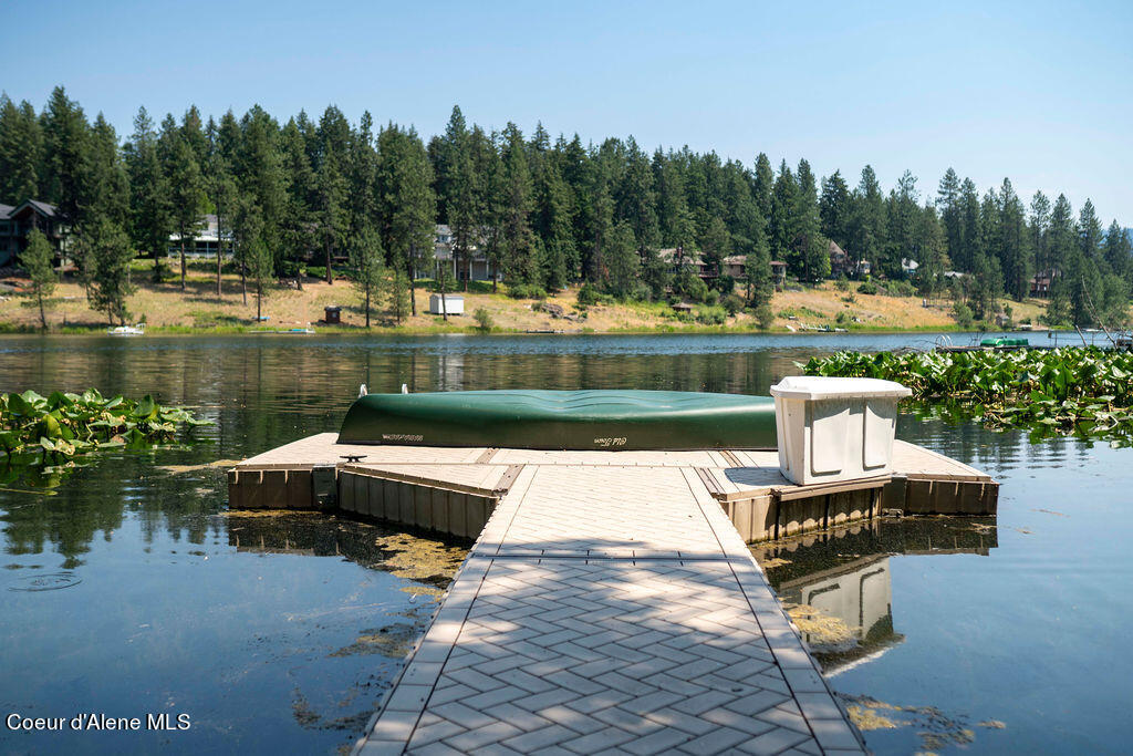 11882 N AVONDALE LOOP