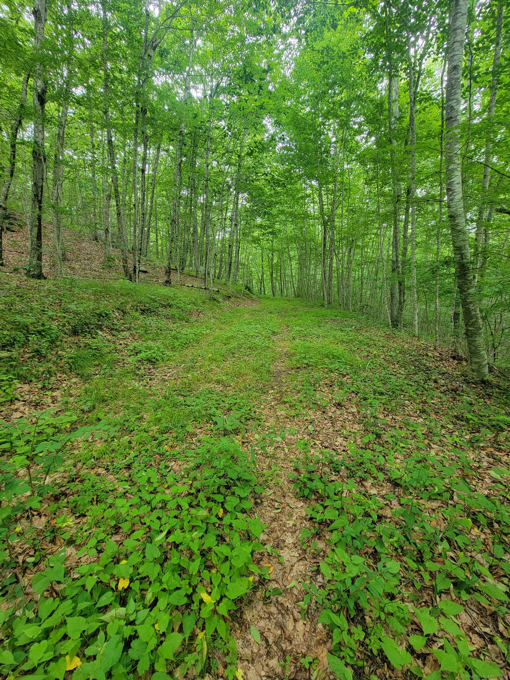 96 Beaver Brook Road
