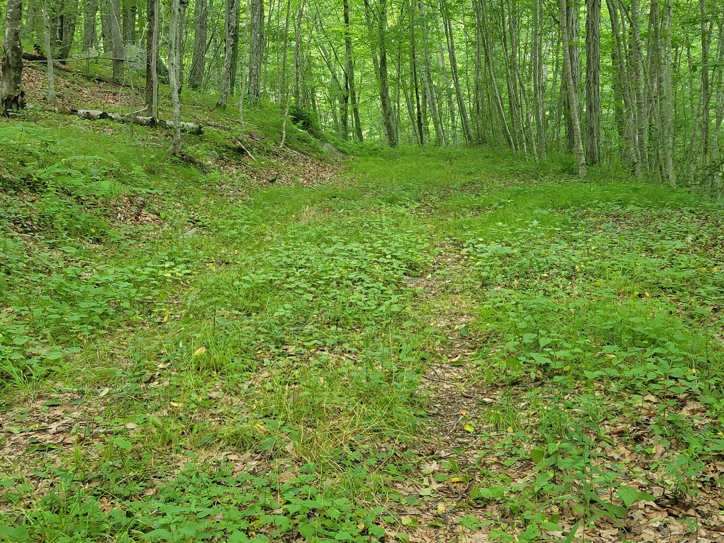96 Beaver Brook Road