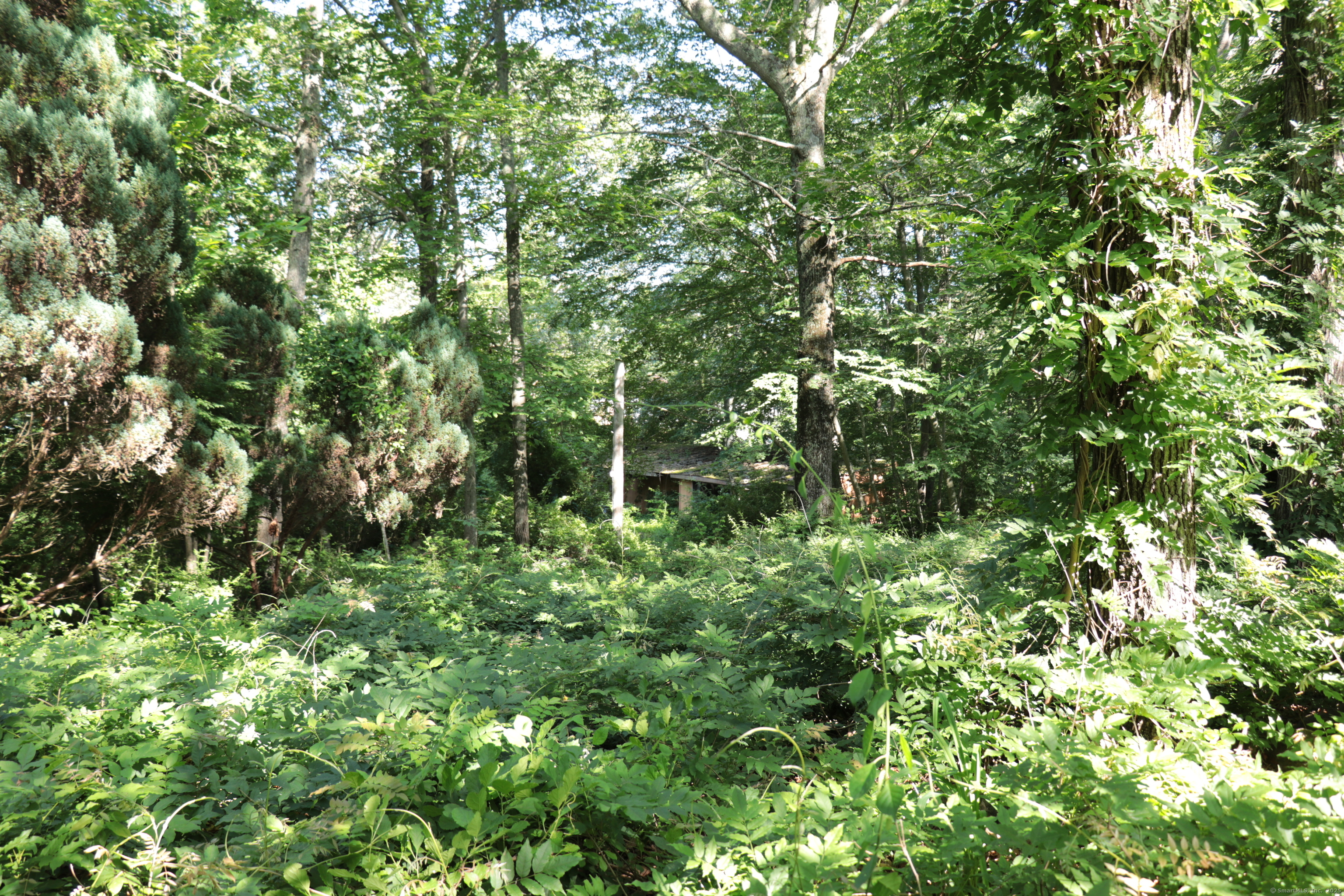 110R Bloomingdale Road