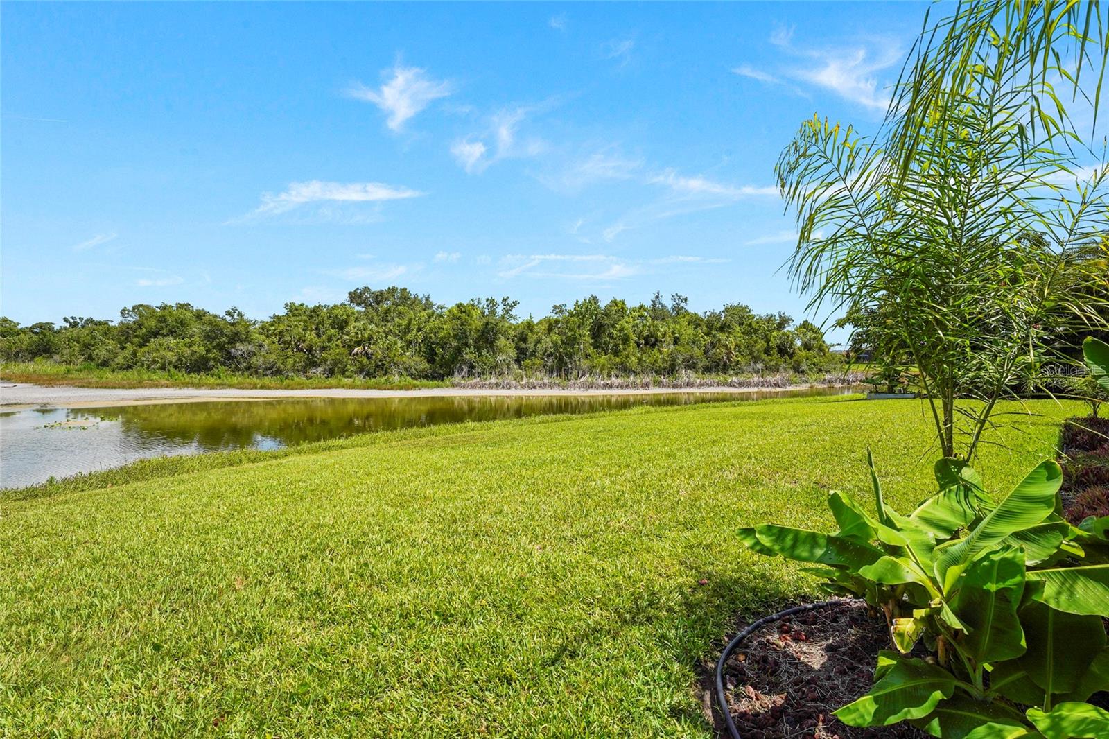 837 WOOD SORREL LN
