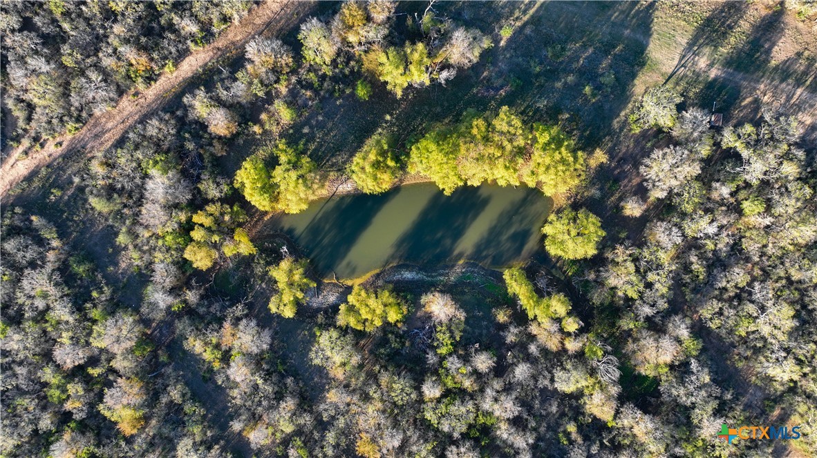 1111 Gold Dust Road