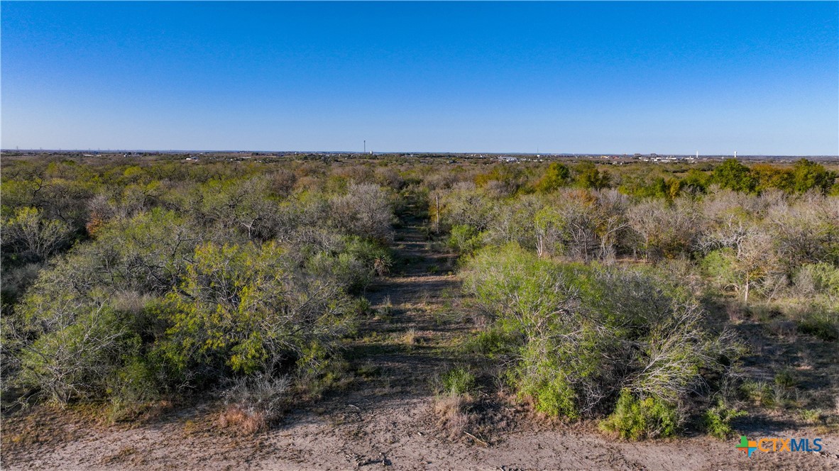 1111 Gold Dust Road
