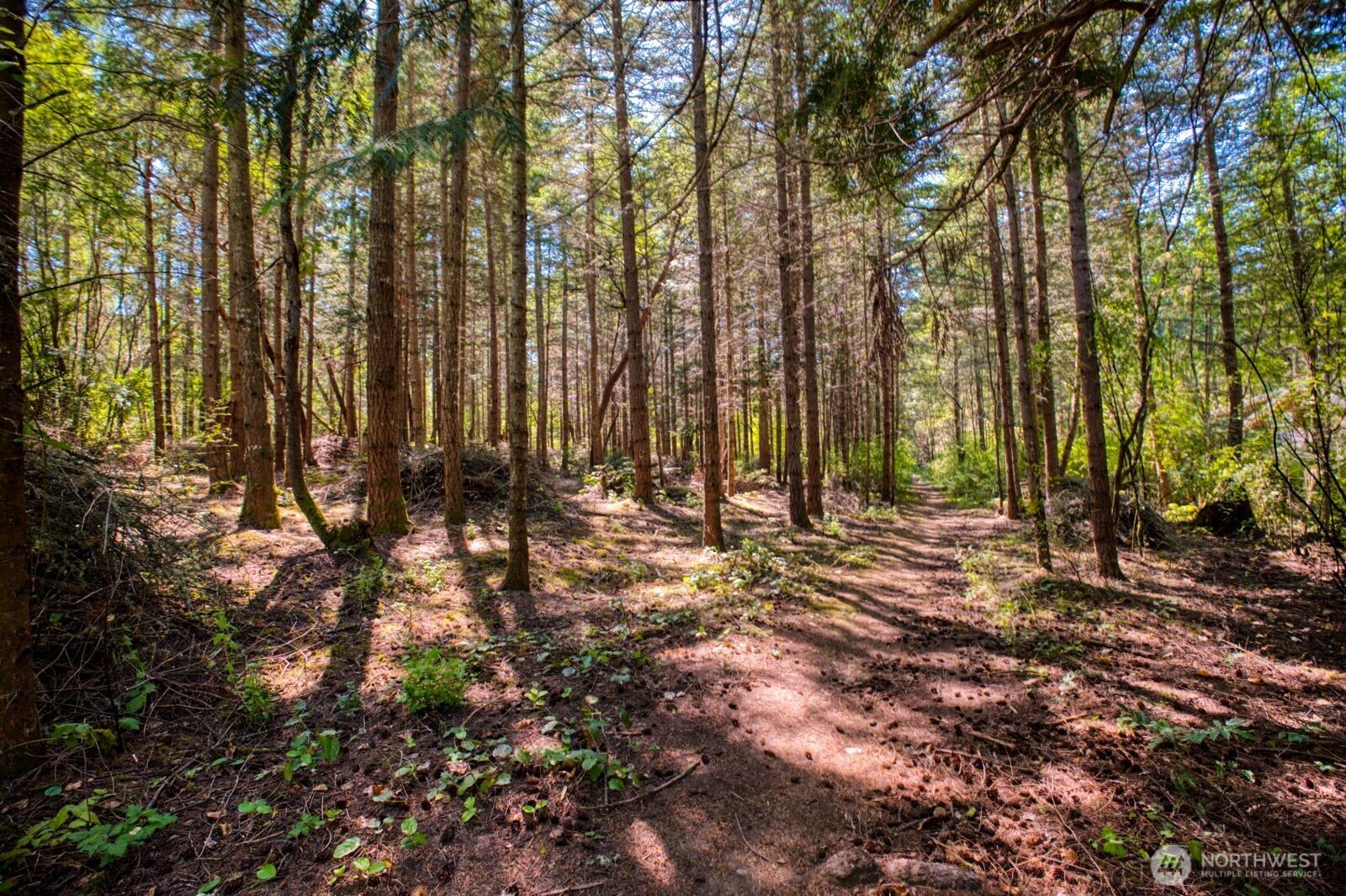 0 Lots 3&4 Grant Street