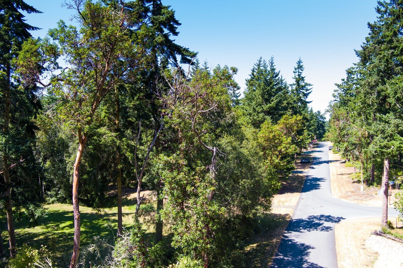 0 Lots 3&4 Grant Street