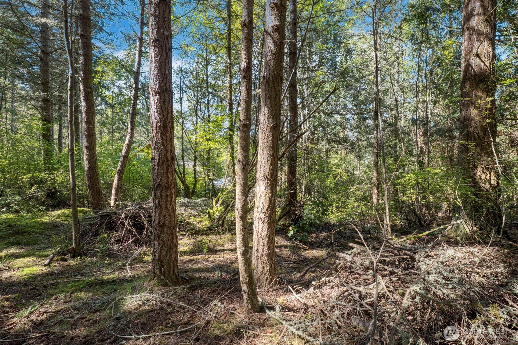 0 Lots 3&4 Grant Street