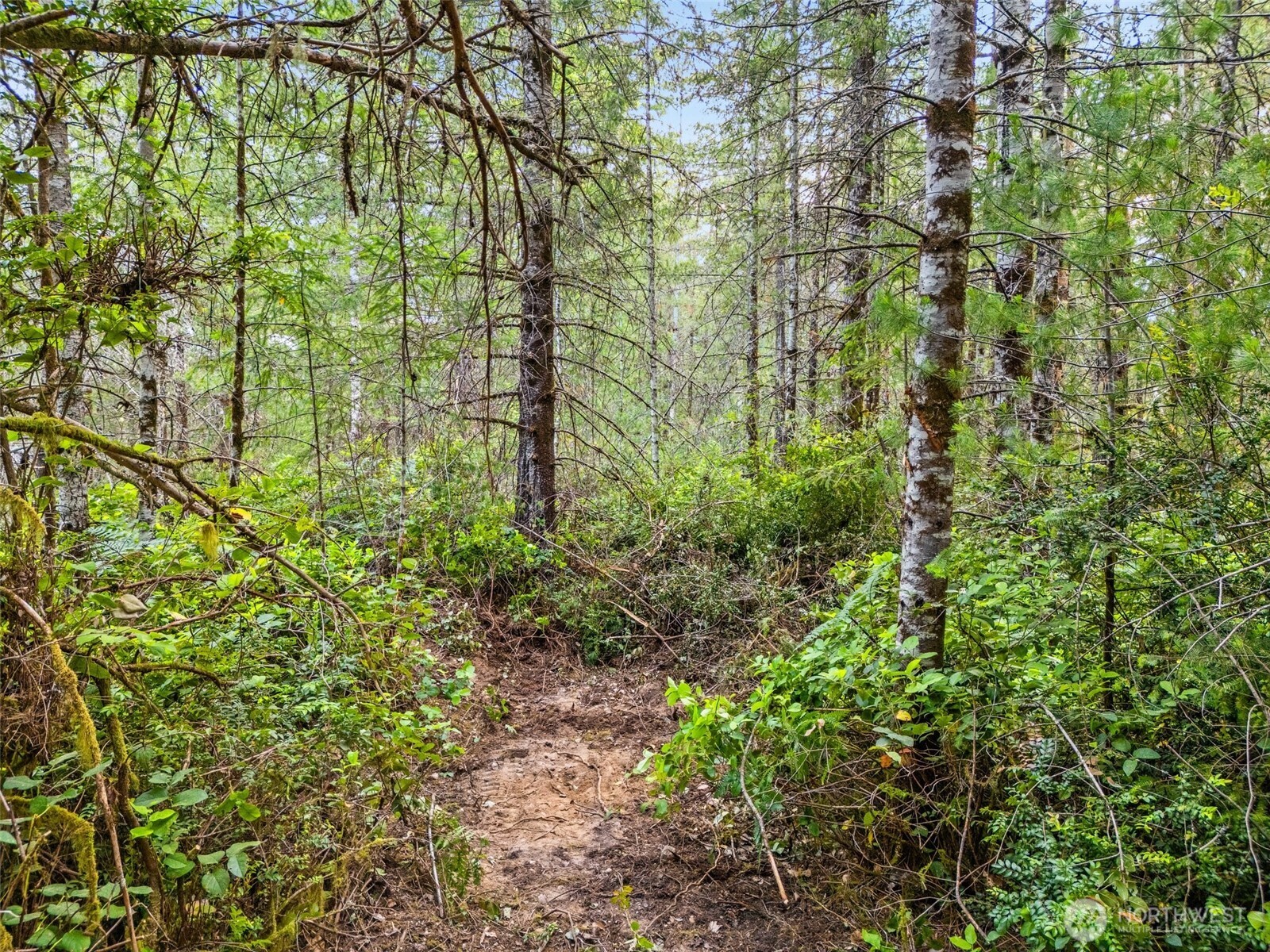 400 NE Trudeau Mountain Road