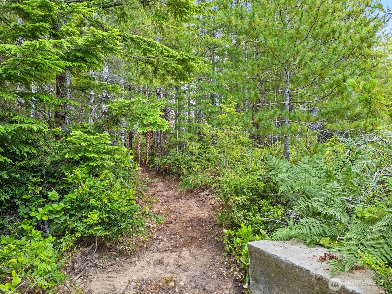 400 NE Trudeau Mountain Road