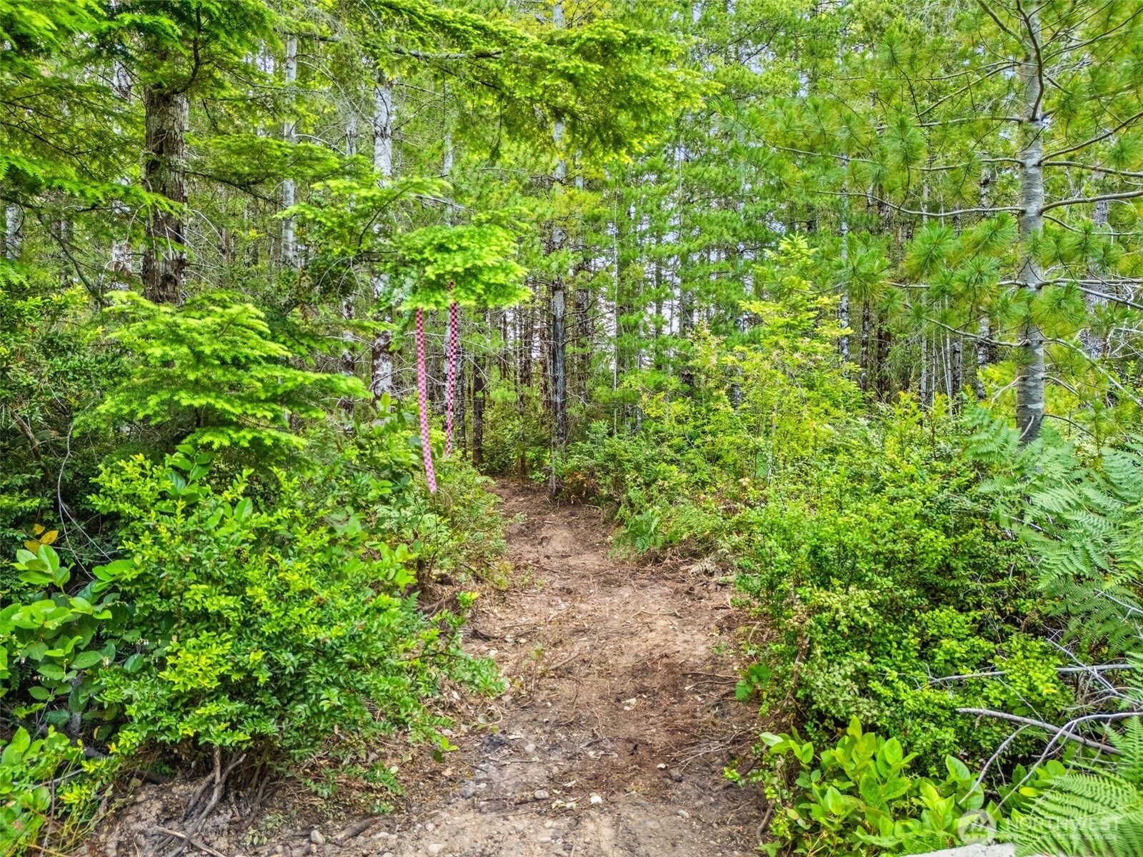 400 NE Trudeau Mountain Road