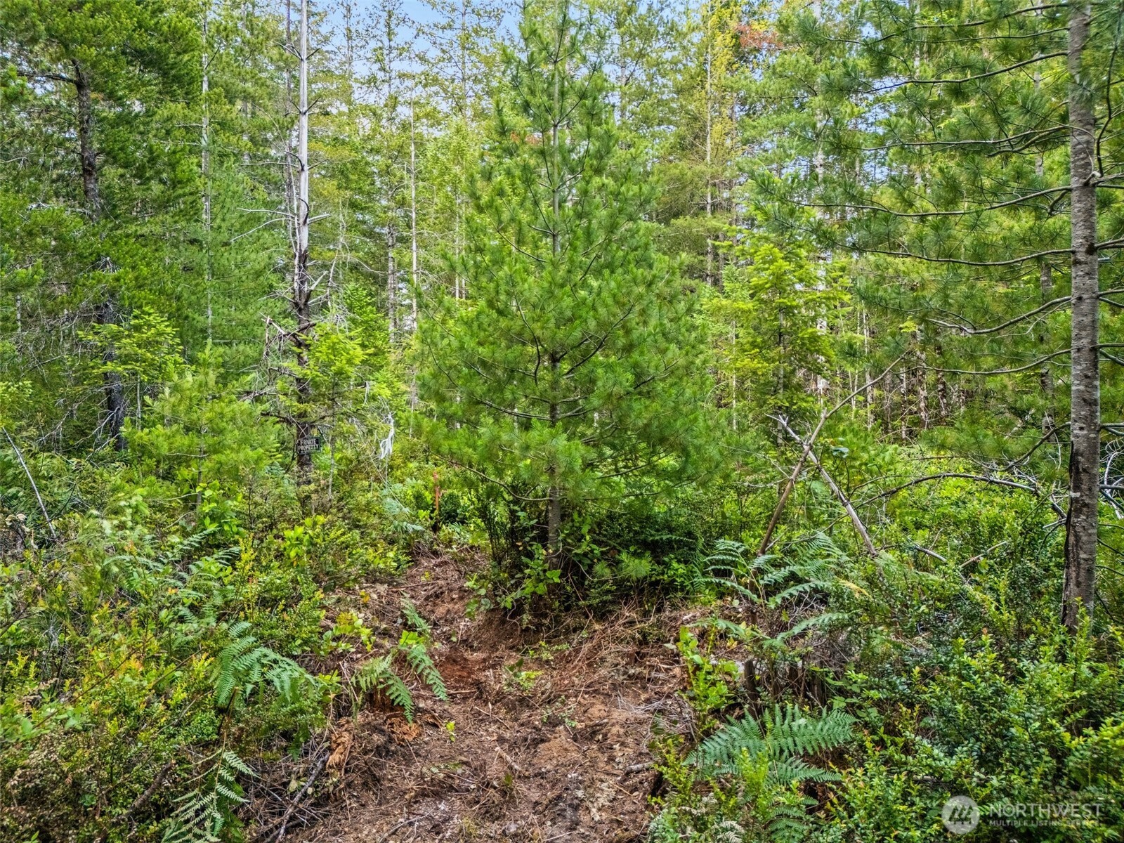 400 NE Trudeau Mountain Road