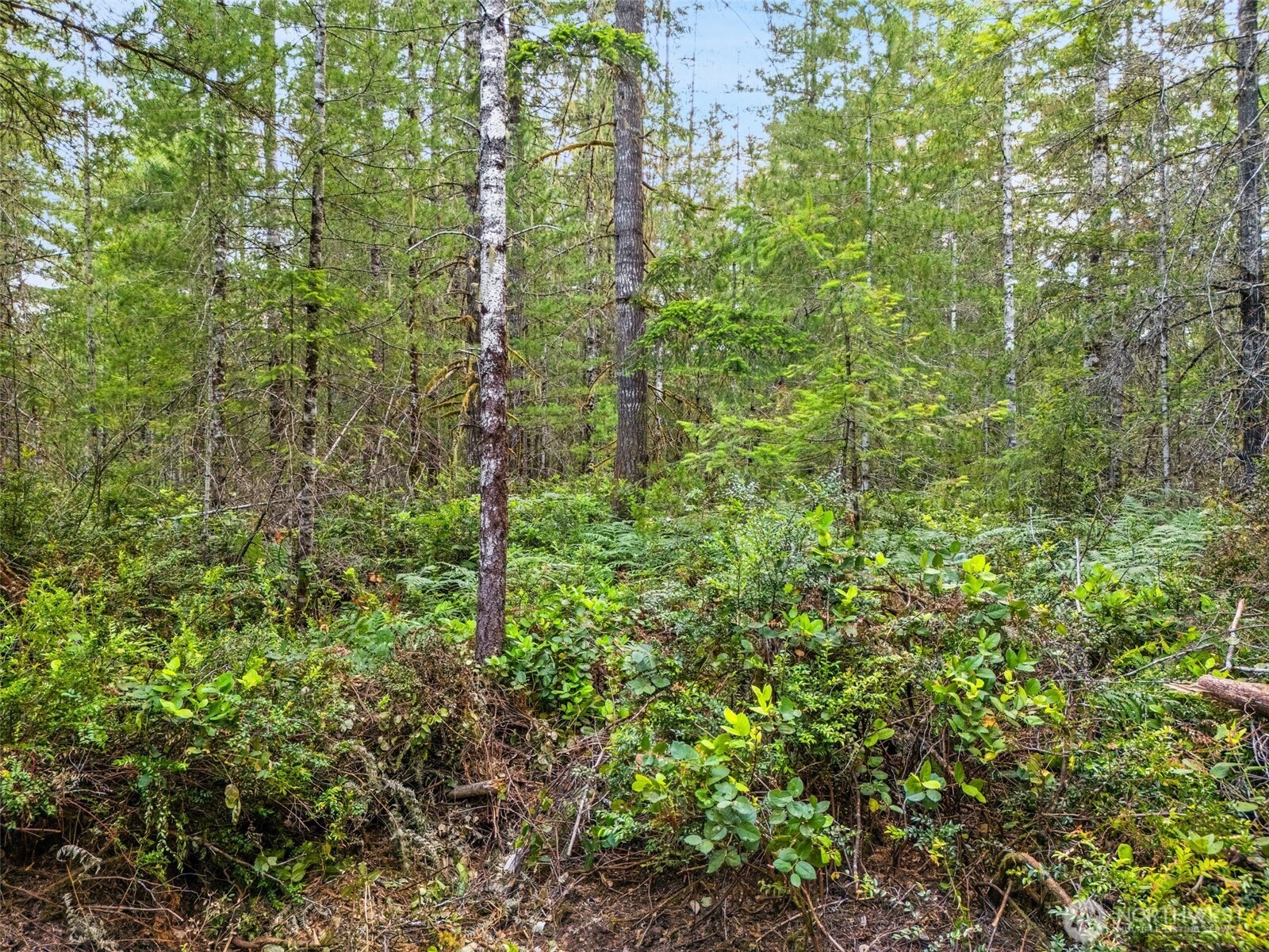 400 NE Trudeau Mountain Road