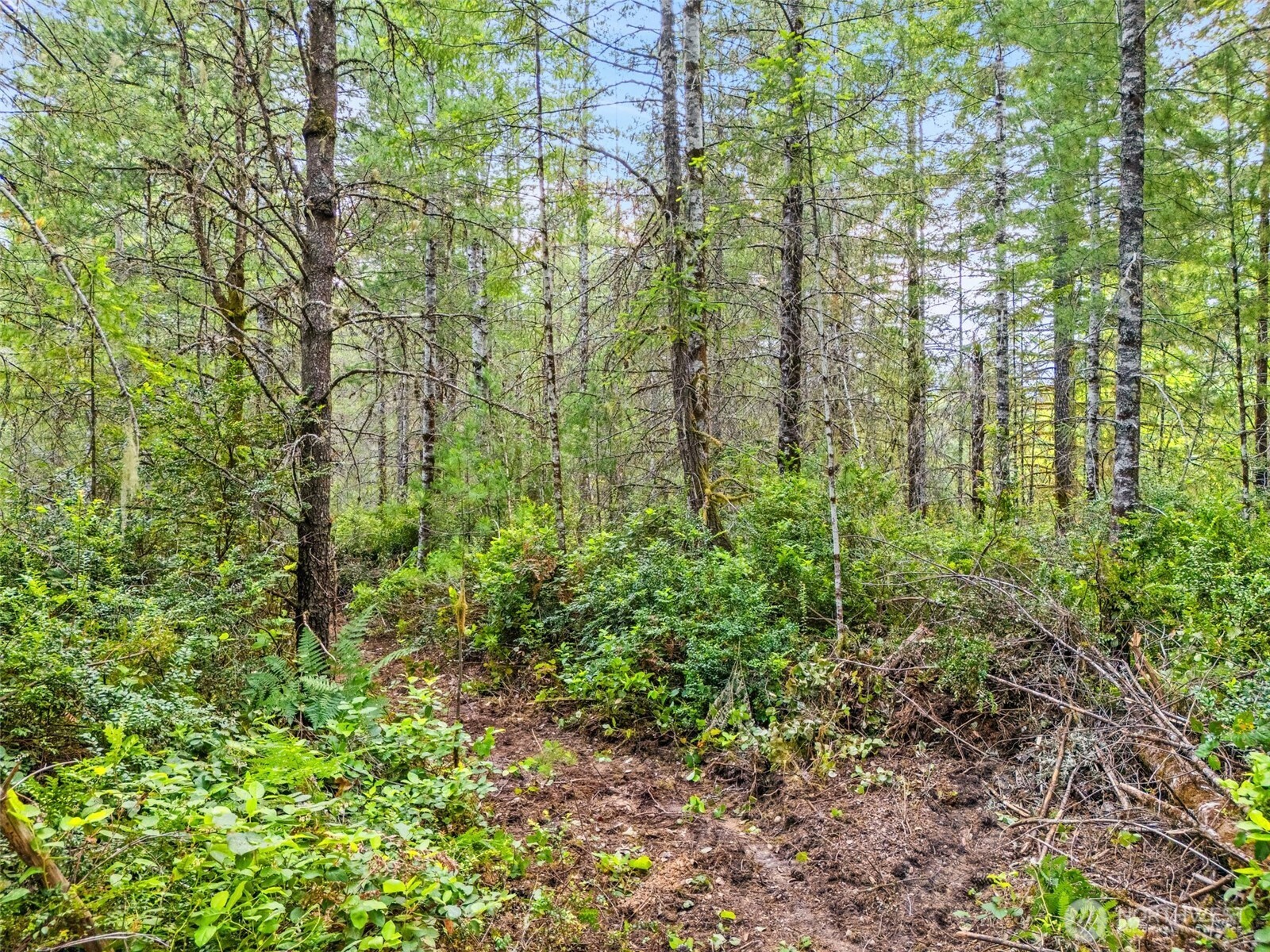 400 NE Trudeau Mountain Road