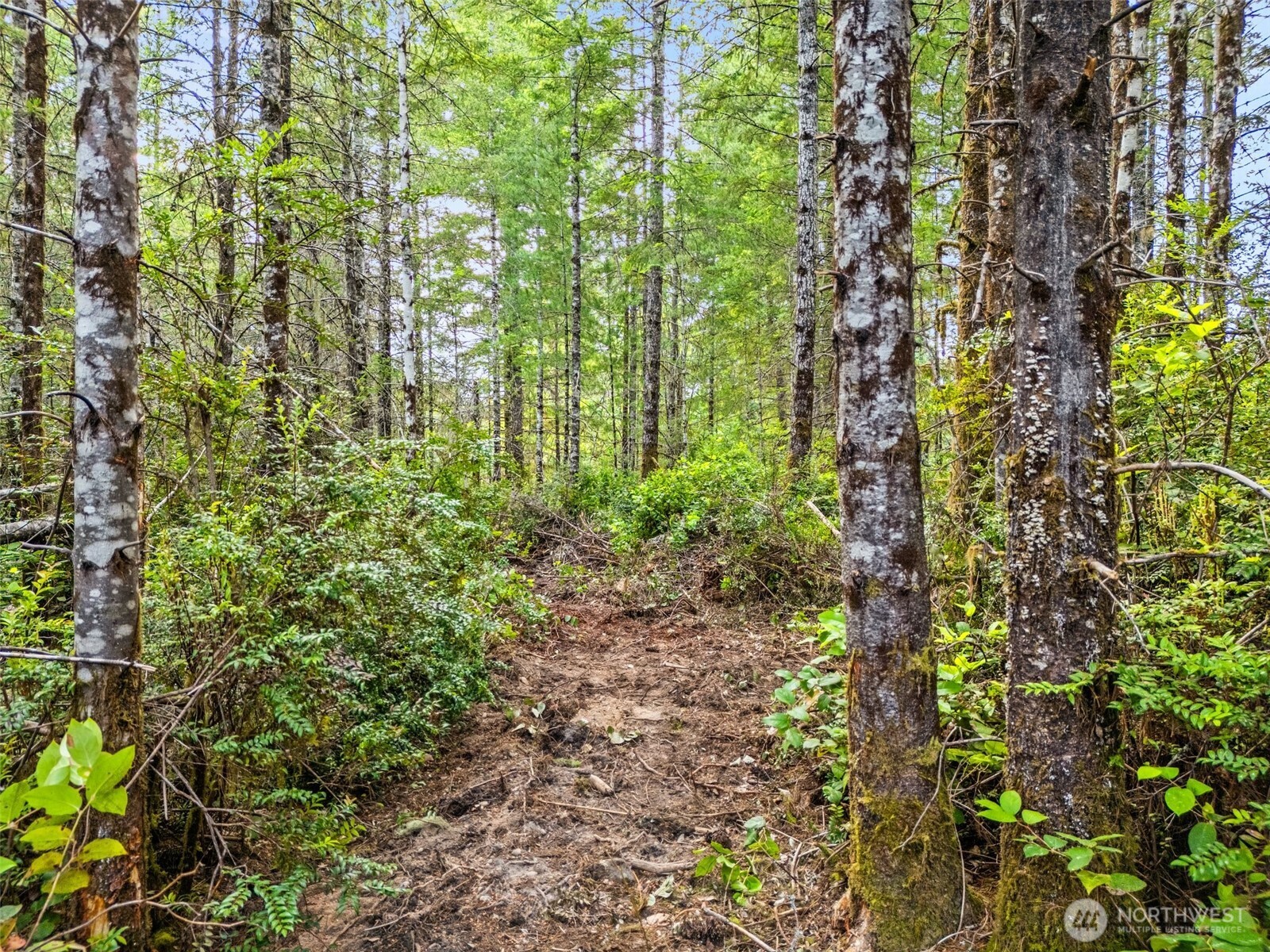 400 NE Trudeau Mountain Road