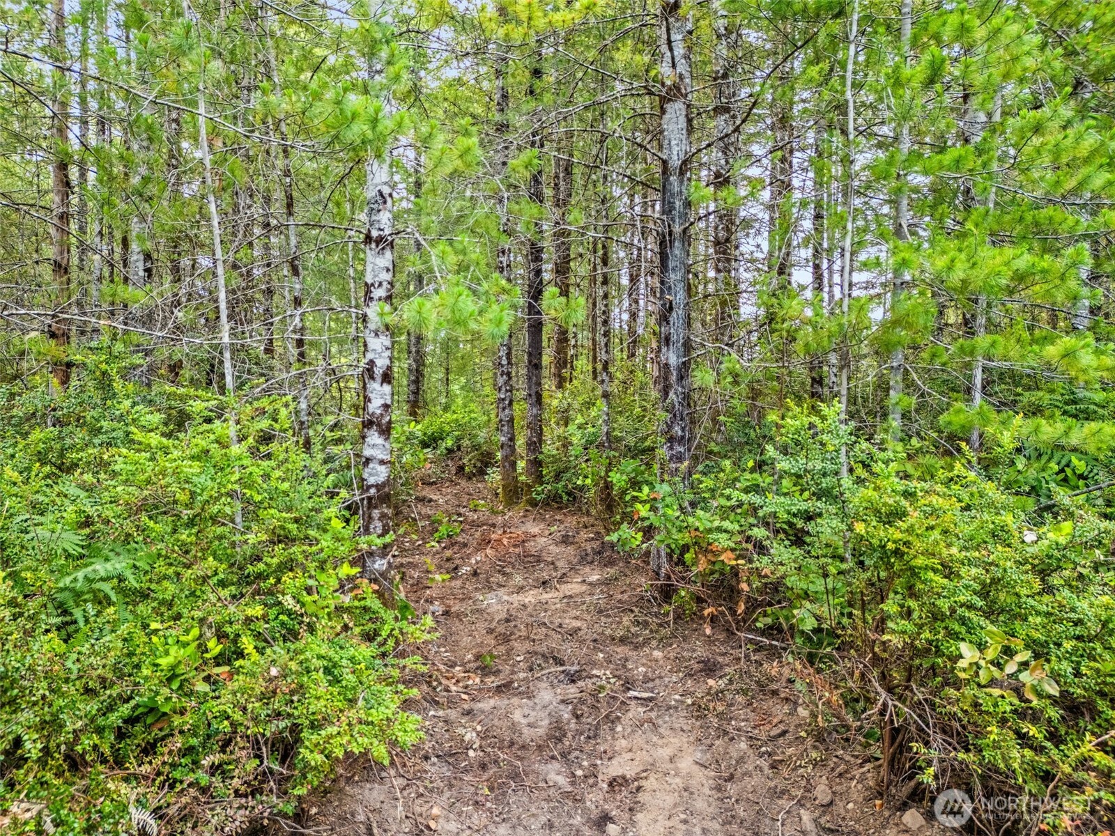 400 NE Trudeau Mountain Road