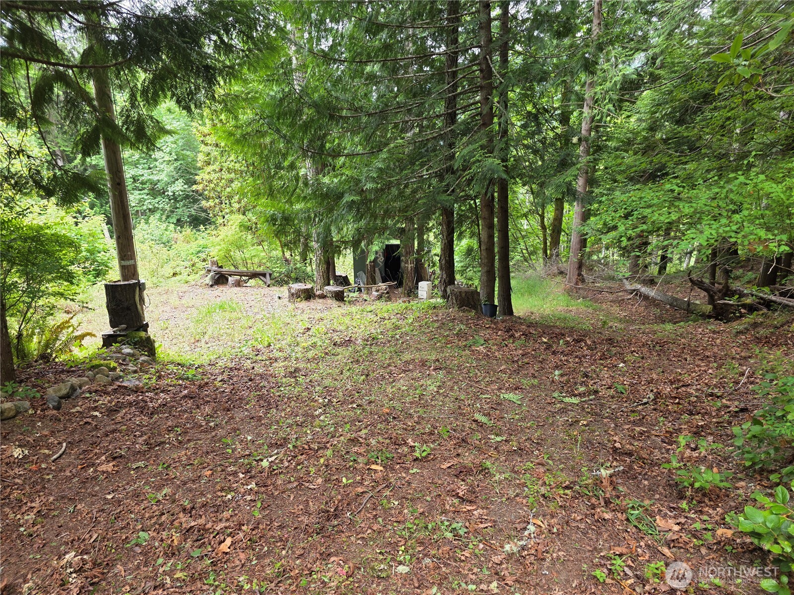 421 Arabian Dr