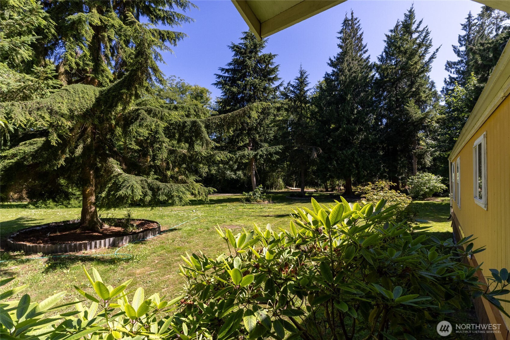 271 Cub Road