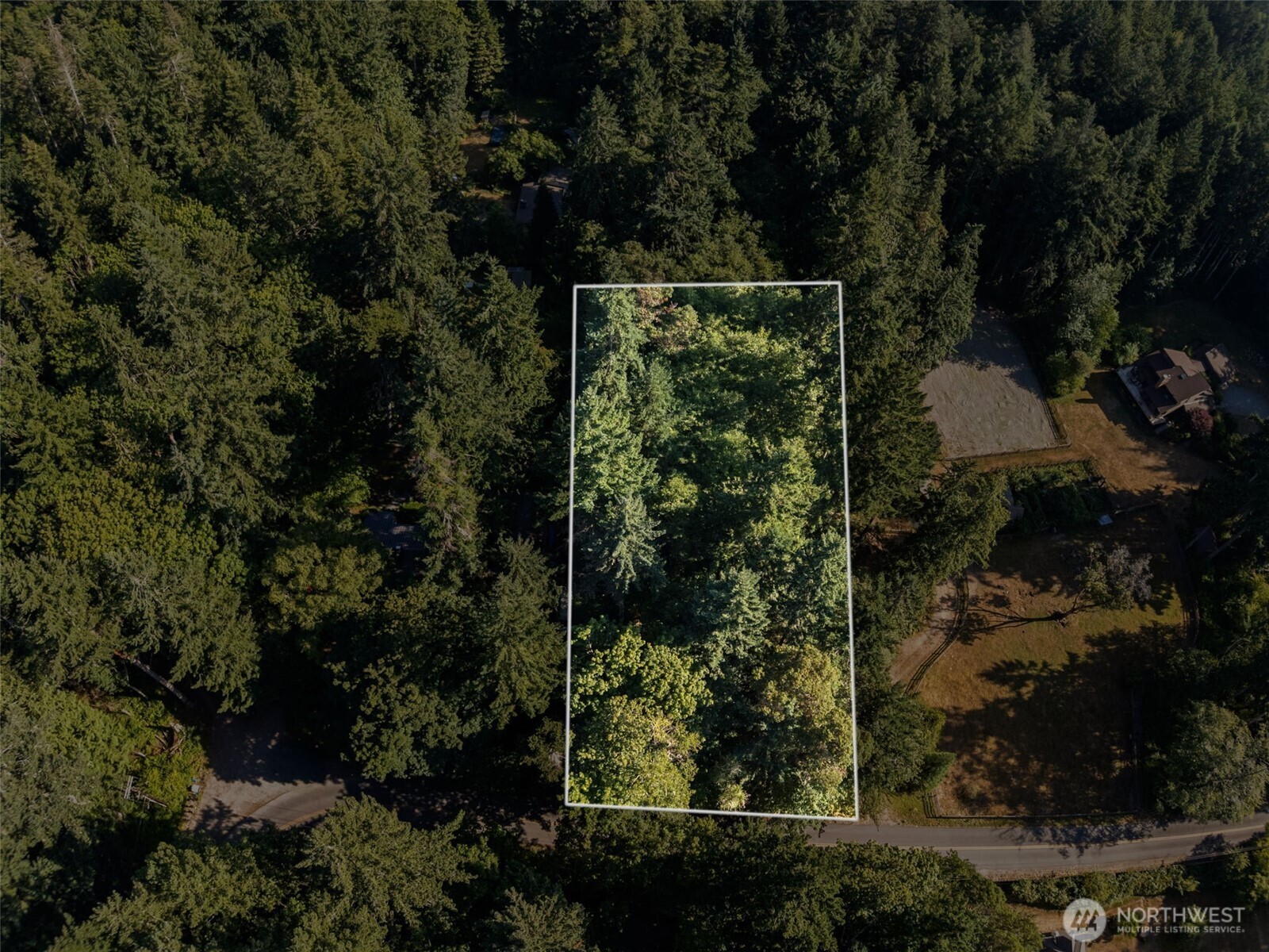 11111 Old Creosote Road