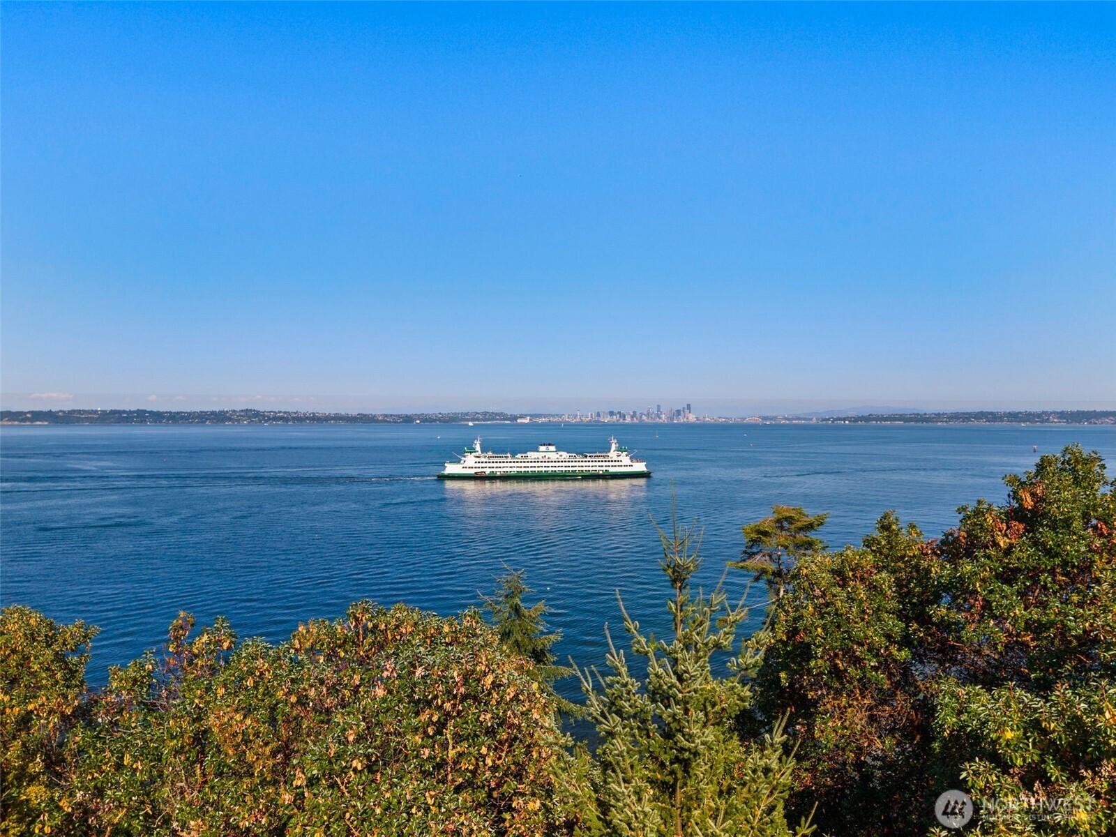 11111 Old Creosote Road