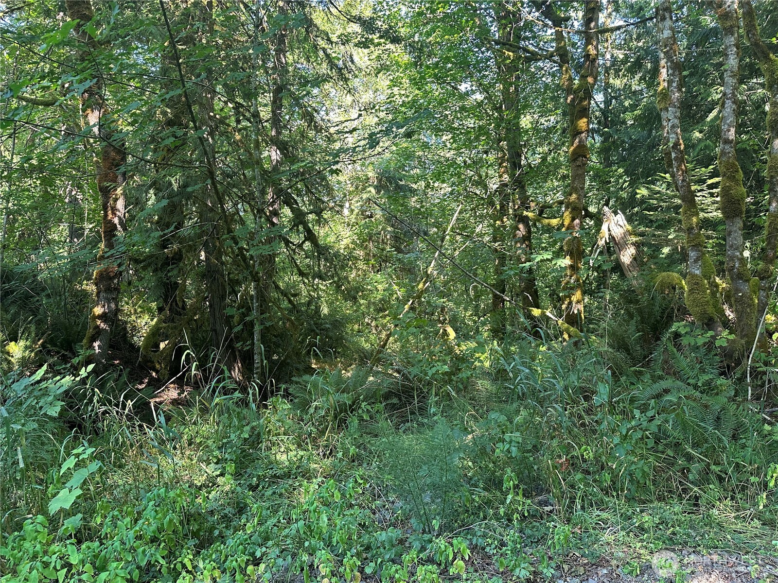 292002 Hwy 101