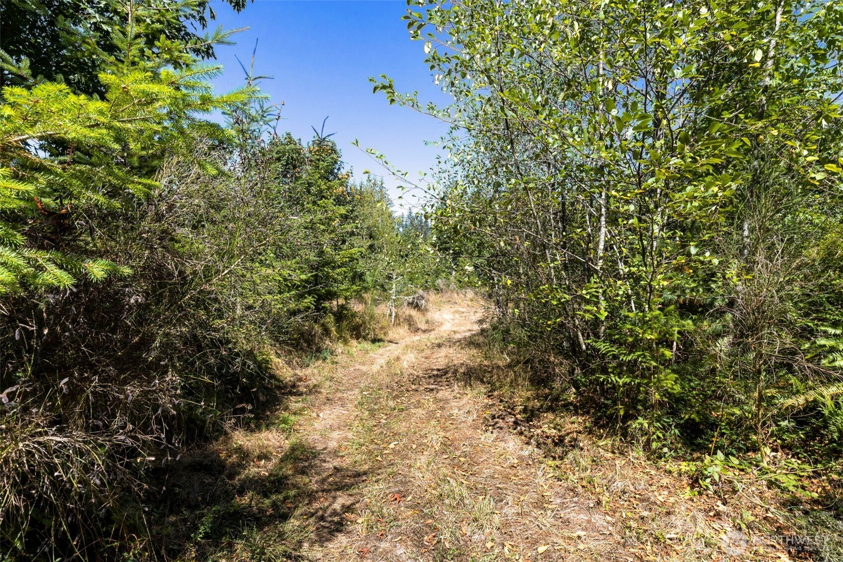 0 Larson Lake Rd