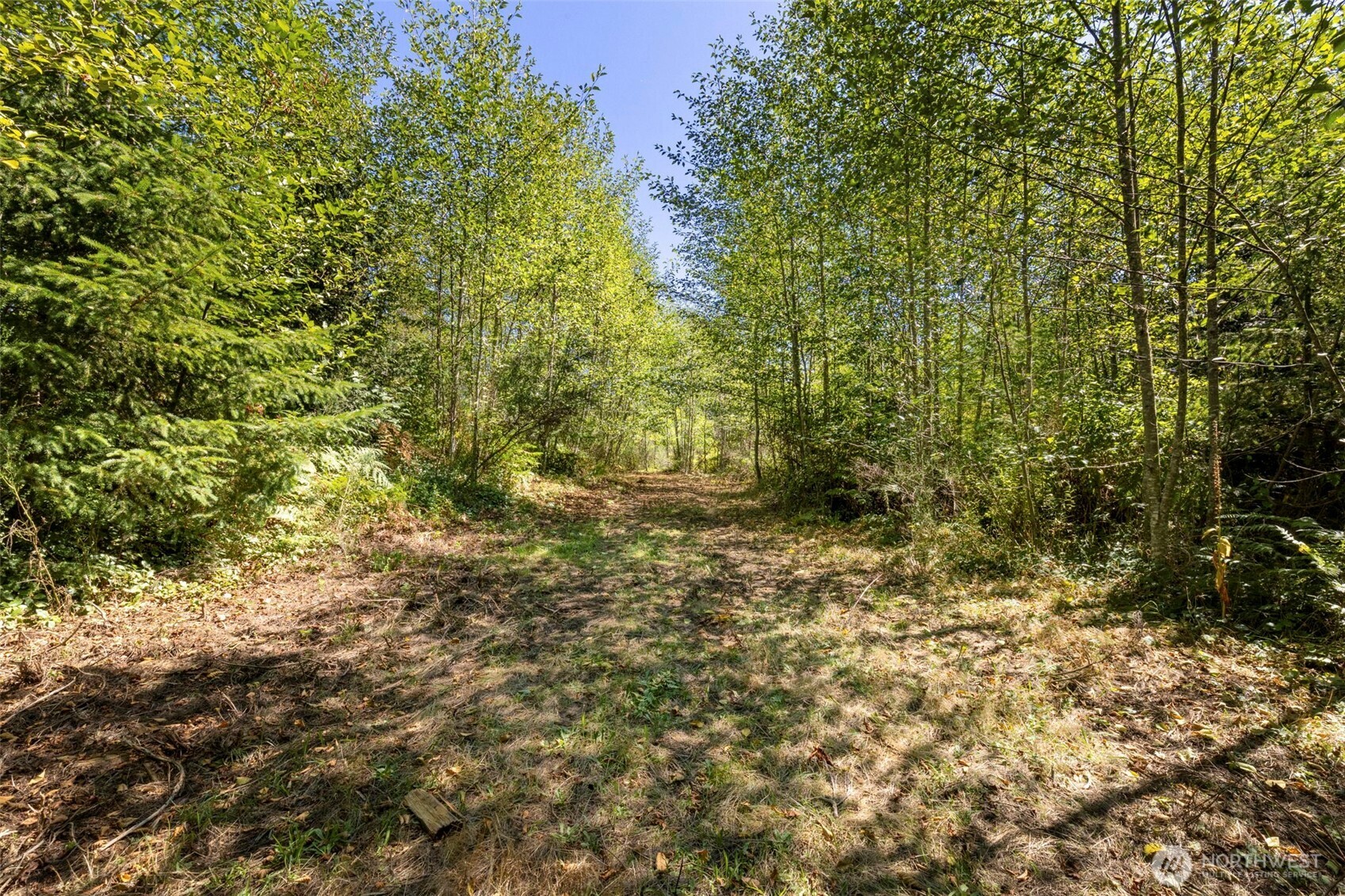 0 Larson Lake Rd