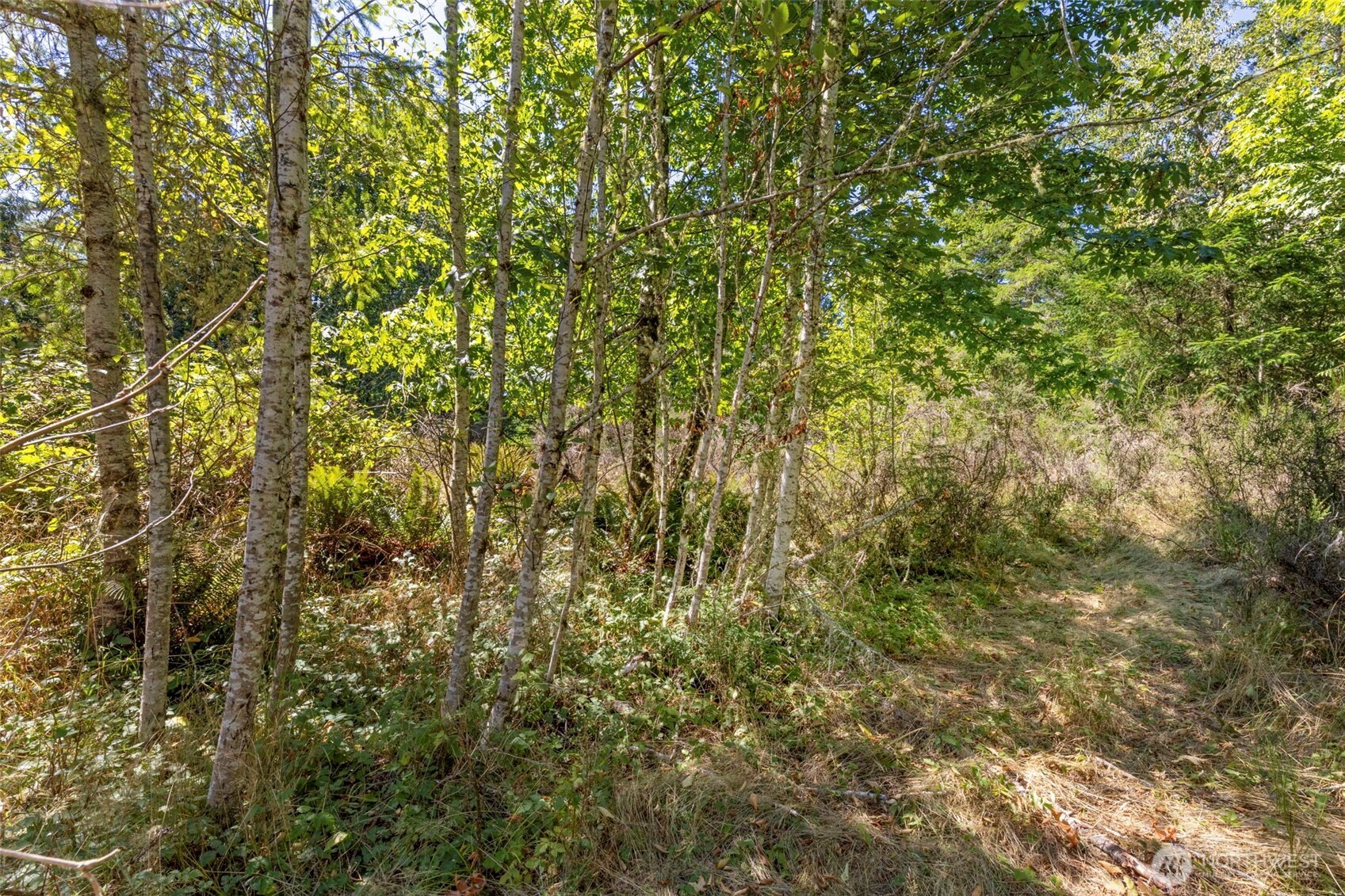 0 Larson Lake Rd