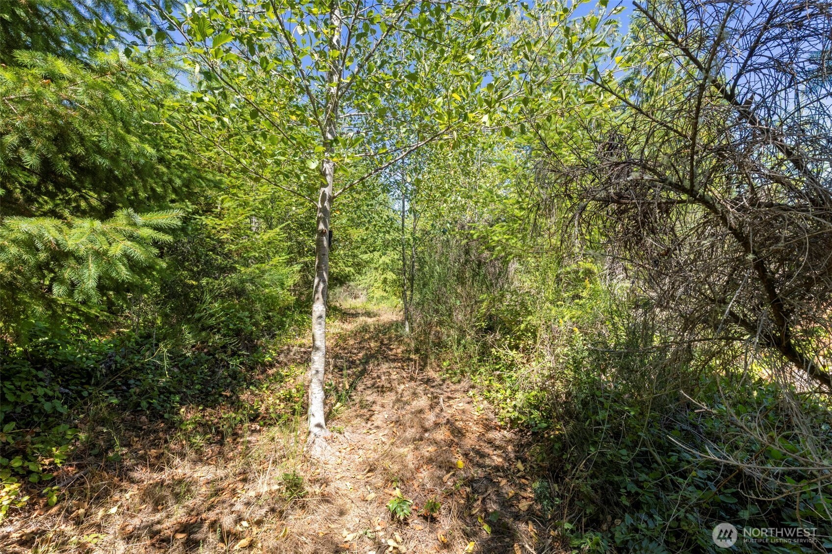 0 Larson Lake Rd