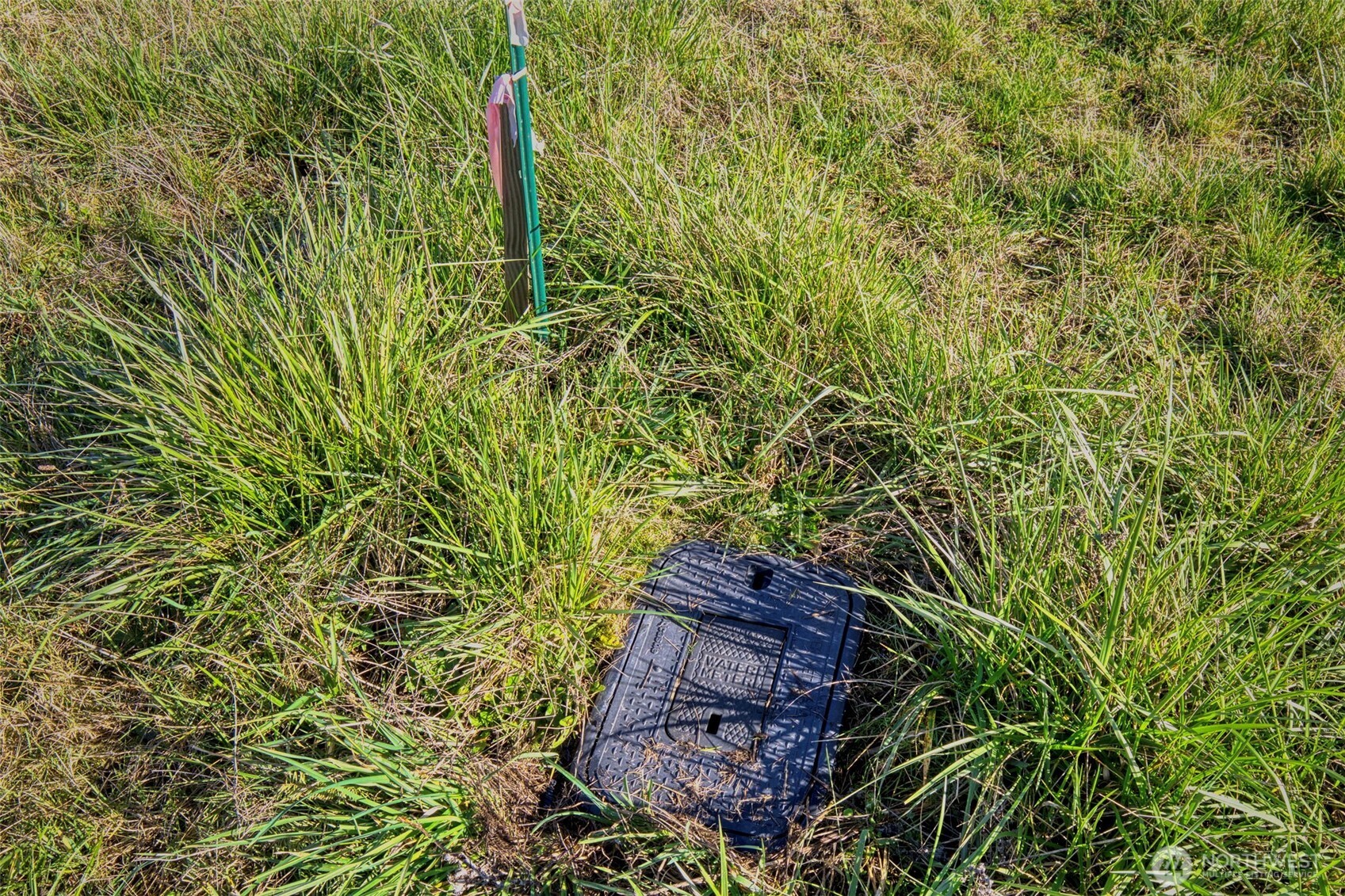 10 NKA Wilson Street